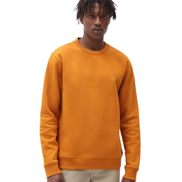 Men Sweatshirt